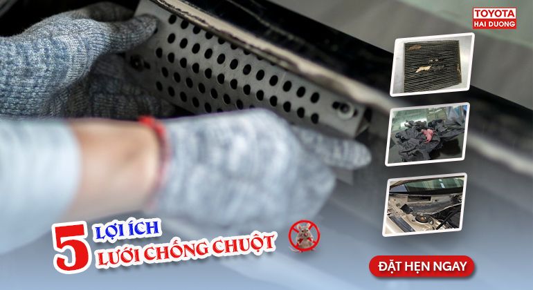 5 LỢI ÍCH KHI LẮP LƯỚI CHỐNG CHUỘT